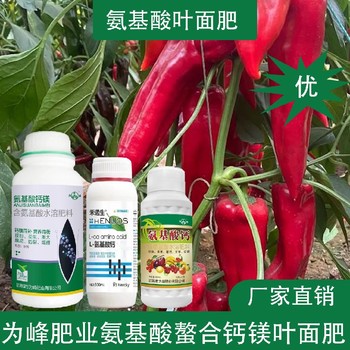 高產(chǎn)肥氨基酸鈣鎂氨基酸葉面肥經(jīng)銷商,氨基酸水溶肥廠家批發(fā)