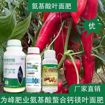 膨果肥多種氨基酸葉面肥廠家,氨基酸水溶肥廠家批發(fā)