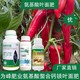 氨基酸葉面肥用法用量圖
