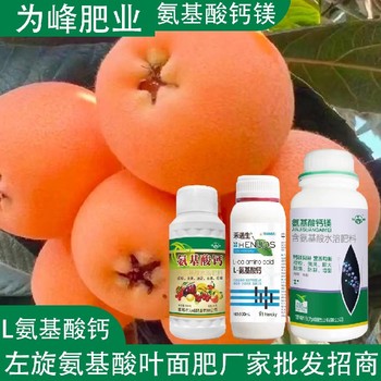 高產(chǎn)肥氨基酸鈣鎂氨基酸葉面肥作用,氨基酸水溶肥廠家批發(fā)