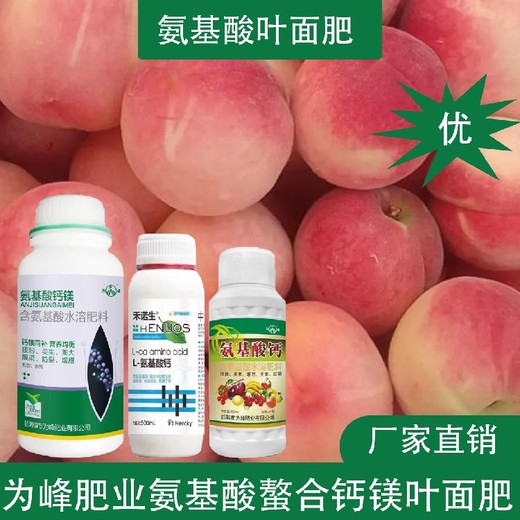促進(jìn)授粉氨基酸鈣氨基酸葉面肥代理,氨基酸水溶肥廠家批發(fā)