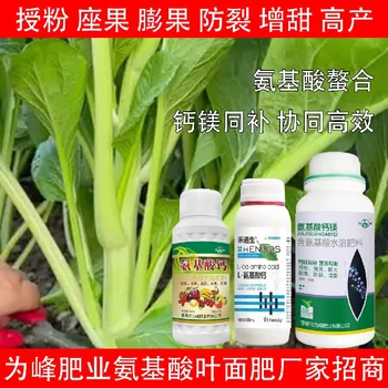 促進(jìn)授粉多種氨基酸葉面肥廠家,氨基酸水溶肥廠家批發(fā)