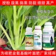 防裂多種氨基酸葉面肥圖