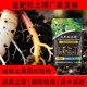 追肥松土精產(chǎn)量高圖