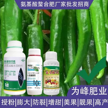 快速膨大小分子氨基酸氨基酸葉面肥哪里賣,氨基酸水溶肥廠家批發(fā)