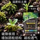 追肥松土精怎么買圖