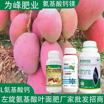 高產(chǎn)肥氨基酸鈣鎂氨基酸葉面肥作用,氨基酸水溶肥廠家批發(fā)