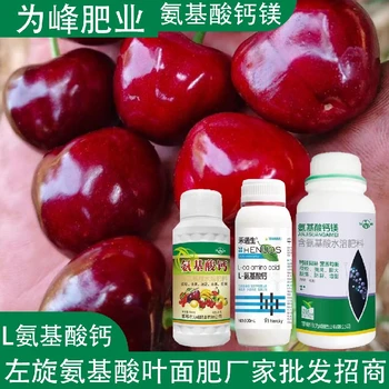 高產(chǎn)肥氨基酸鈣鎂氨基酸葉面肥作用,氨基酸水溶肥廠家批發(fā)