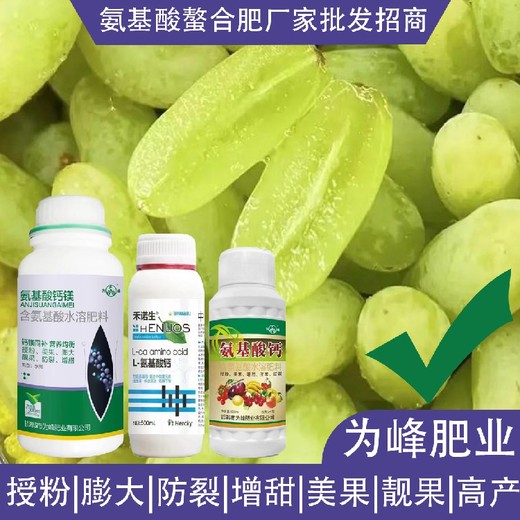 高產(chǎn)肥18種氨基酸葉面肥批發(fā),氨基酸水溶肥廠家批發(fā)