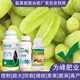 氨基酸葉面肥作用圖