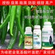 防裂左旋氨基酸葉面肥圖