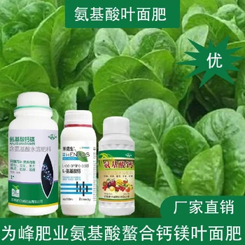 授粉座果L氨基酸氨基酸葉面肥廠家,氨基酸水溶肥廠家批發(fā)