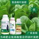 氨基酸葉面肥怎么樣圖