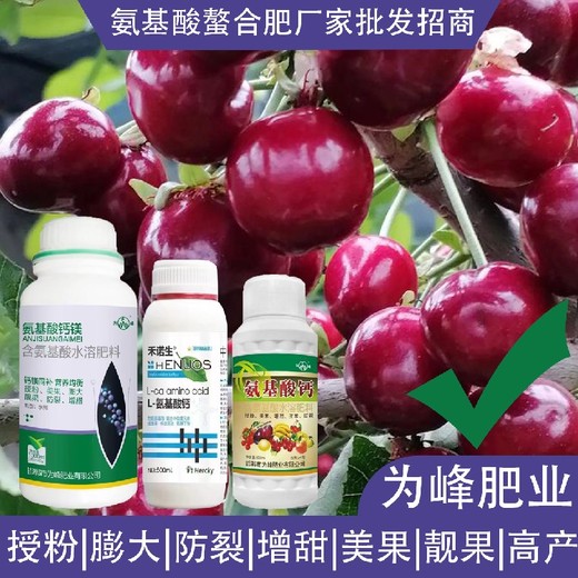 防裂小分子氨基酸氨基酸葉面肥哪里買,氨基酸水溶肥廠家批發(fā)