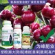 授粉座果小分子氨基酸氨基酸葉面肥效果,氨基酸水溶肥廠家批發(fā)產(chǎn)品圖