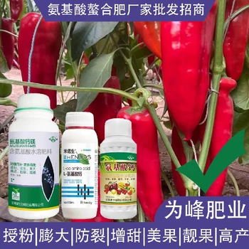 膨果肥多種氨基酸葉面肥廠家,氨基酸水溶肥廠家批發(fā)