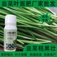 韭菜葉面肥效果圖