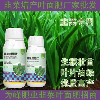 粗壯根莖韭菜肥韭菜葉面肥效果,韭菜肥廠家批發(fā)