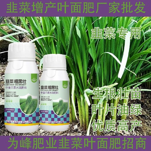 預(yù)防干尖韭菜肥韭菜葉面肥哪里賣,韭菜肥廠家批發(fā)