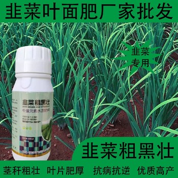 根系發(fā)達韭菜粗壯韭菜葉面肥哪里賣,韭菜肥廠家批發(fā)
