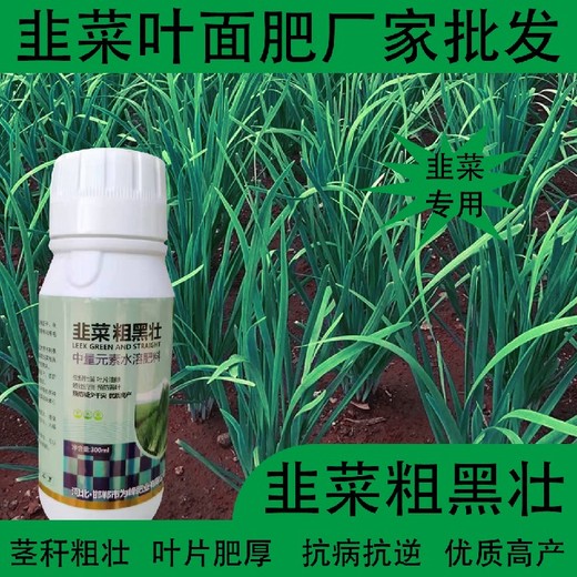 預防旺長韭菜干尖靈韭菜葉面肥多少錢,韭菜肥廠家批發(fā)