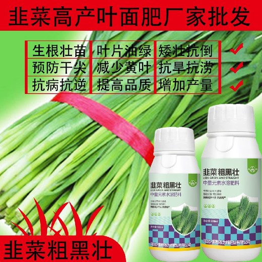 綠葉厚葉韭菜粗又壯韭菜葉面肥廠家電話,韭菜肥廠家批發(fā)