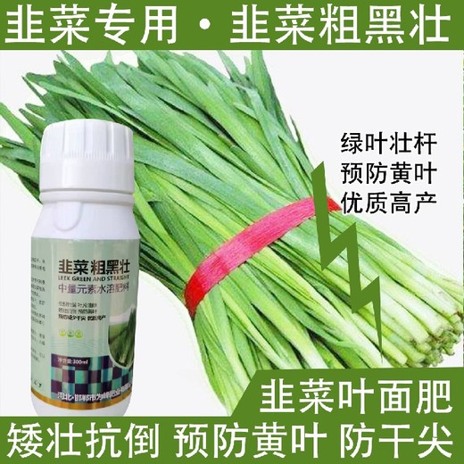 綠葉厚葉韭菜粗黑壯韭菜葉面肥招商,韭菜肥廠家批發(fā)
