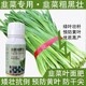 韭菜葉面肥作用圖