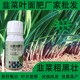 韭菜葉面肥哪里賣圖