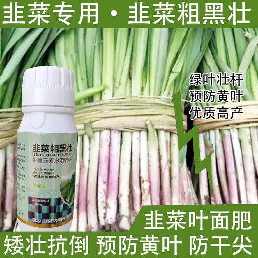 粗壯根莖韭菜葉綠素韭菜葉面肥一瓶多少錢,韭菜肥廠家批發(fā)