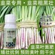 預(yù)防黃葉韭菜干尖靈韭菜葉面肥一瓶多少錢,韭菜肥廠家批發(fā)圖