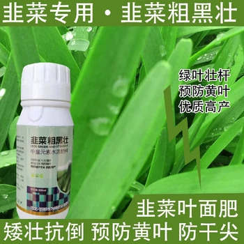 綠葉厚葉韭菜粗黑壯韭菜葉面肥價格,韭菜肥廠家批發(fā)