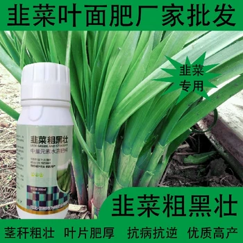 預防黃葉韭菜控旺韭菜葉面肥招商,韭菜肥廠家批發(fā)