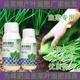 韭菜葉面肥經(jīng)銷商圖