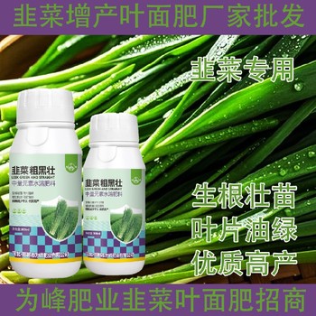 粗壯根莖韭菜粗嫩綠韭菜葉面肥招商,韭菜肥廠家批發(fā)