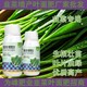 預(yù)防旺長韭菜粗壯韭菜葉面肥效果,韭菜肥廠家批發(fā)圖