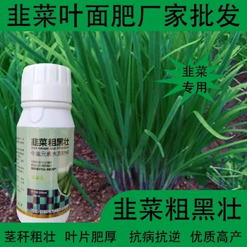 生根壯苗韭菜粗壯韭菜葉面肥生產(chǎn)廠家,韭菜肥廠家批發(fā)