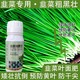 預(yù)防黃葉韭菜粗黑壯韭菜葉面肥多少錢,韭菜肥廠家批發(fā)產(chǎn)品圖