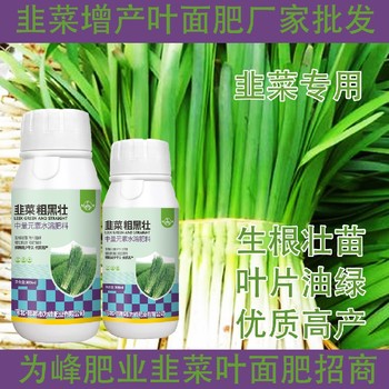 綠葉厚葉韭菜粗又壯韭菜葉面肥價格,韭菜肥廠家批發(fā)