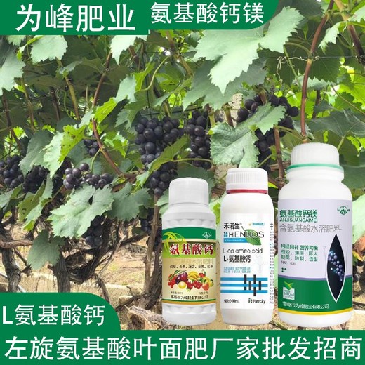膨果肥氨基酸鈣氨基酸葉面肥哪里賣,氨基酸水溶肥廠家批發(fā)