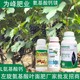 氨基酸葉面肥哪里買圖