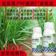 韭菜葉面肥多少錢圖