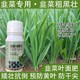 預(yù)防黃葉韭菜干尖靈韭菜葉面肥一瓶多少錢,韭菜肥廠家批發(fā)產(chǎn)品圖