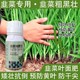生根壯苗韭菜粗又壯韭菜葉面肥哪里賣,韭菜肥廠家批發(fā)產(chǎn)品圖