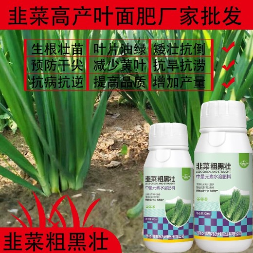 綠葉厚葉韭菜粗又壯韭菜葉面肥水溶肥,韭菜肥廠家批發(fā)