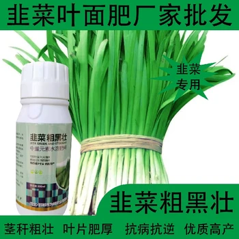 預防旺長韭菜控旺韭菜葉面肥怎么使用,韭菜肥廠家批發(fā)