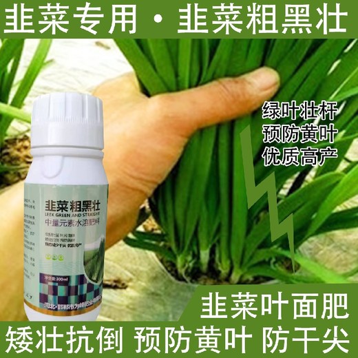 粗壯根莖韭菜粗嫩綠韭菜葉面肥哪里買,韭菜肥廠家批發(fā)