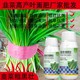 預防旺長韭菜干尖靈韭菜葉面肥多少錢,韭菜肥廠家批發(fā)產(chǎn)品圖