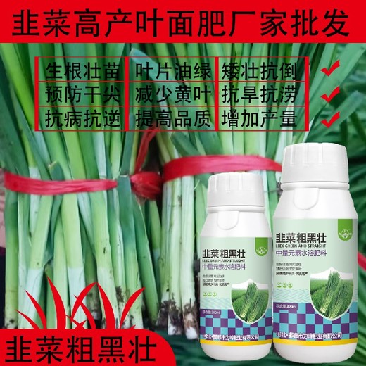 粗壯根莖韭菜粗黑壯韭菜葉面肥效果,韭菜肥廠家批發(fā)
