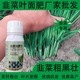 韭菜葉面肥哪里買圖